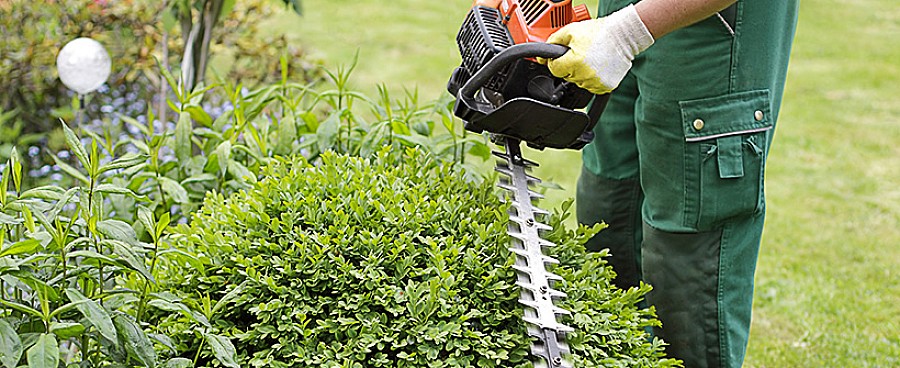 Qualität in Garten- und Landschaftsbau - Andreas Peters