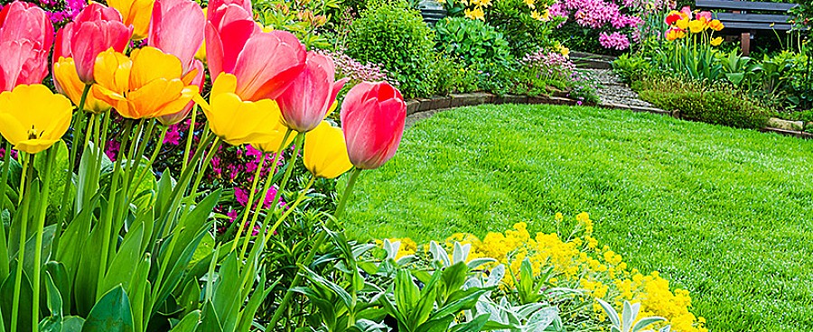 Qualität in Garten- und Landschaftsbau - Andreas Peters